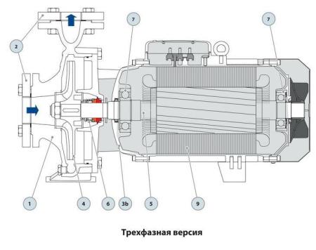 Центробежный насос Pedrollo F 100/200B